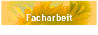 Facharbeit